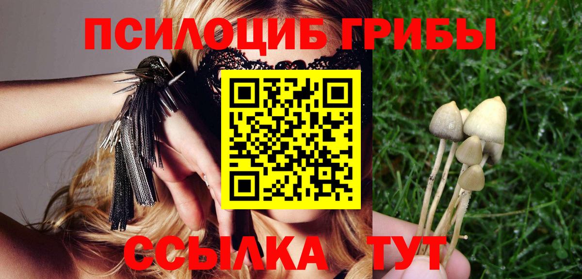 Галлюциногенные грибы Psilocybe Дюртюли